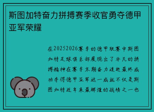 斯图加特奋力拼搏赛季收官勇夺德甲亚军荣耀